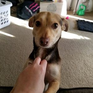 Meet your Posher, April